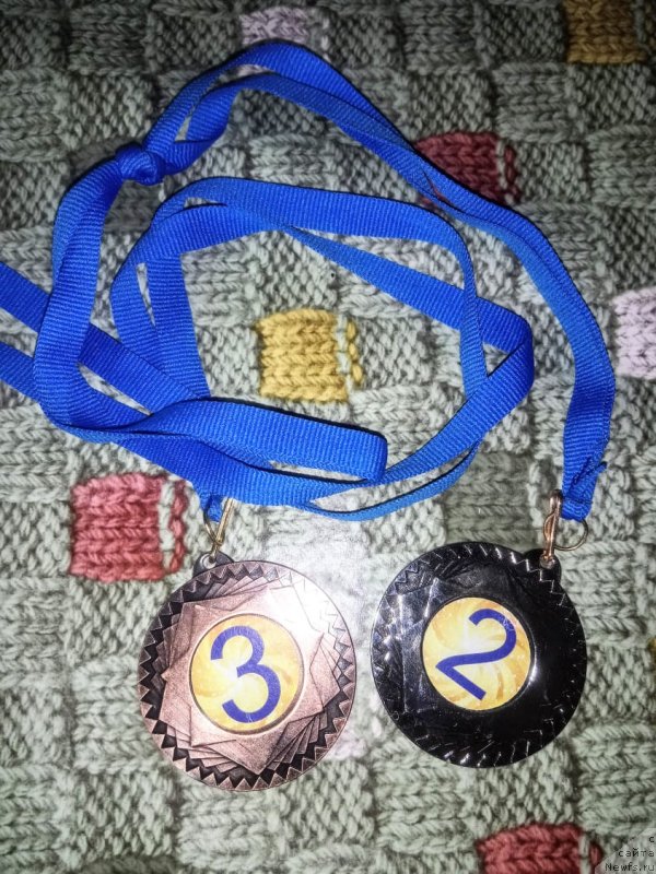 Фотография № 246344