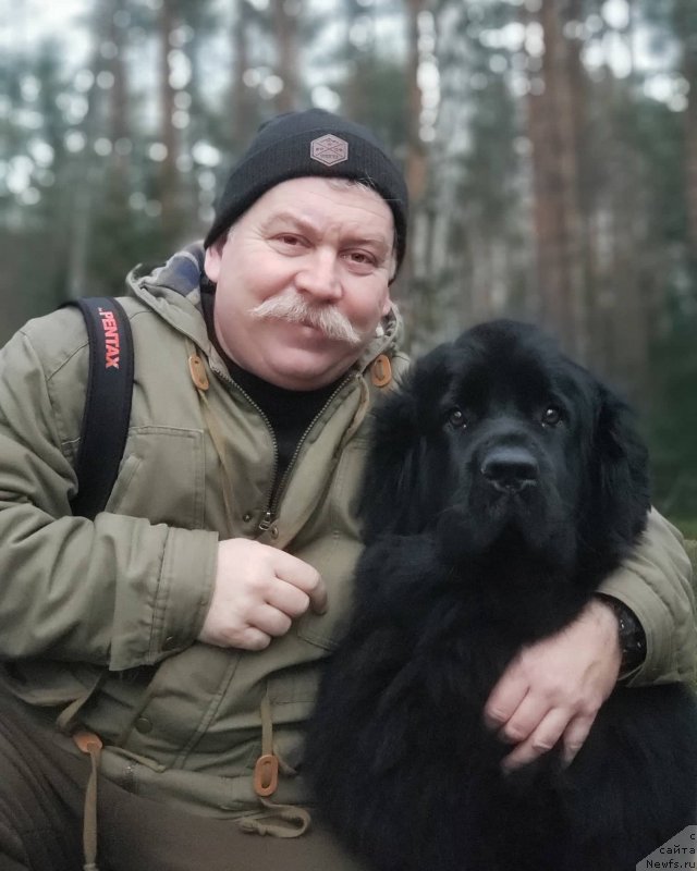 Фотография № 246350