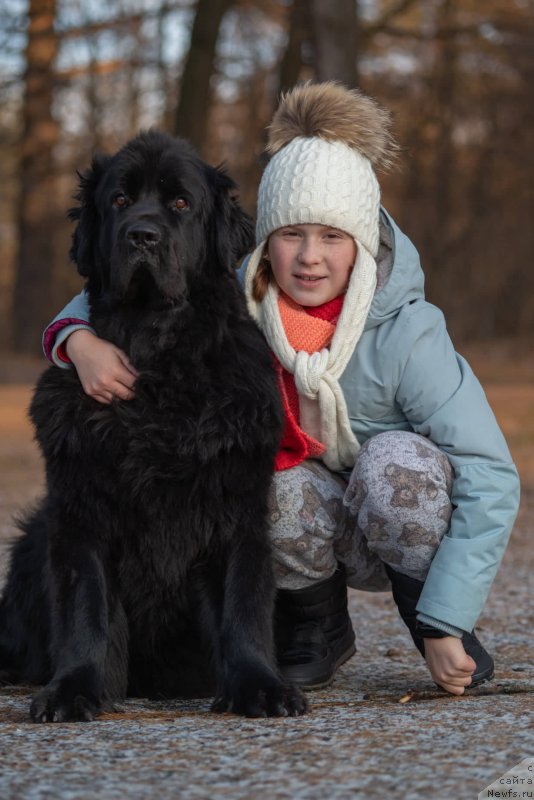 Фотография № 246351