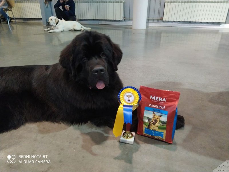 Фотография № 246374