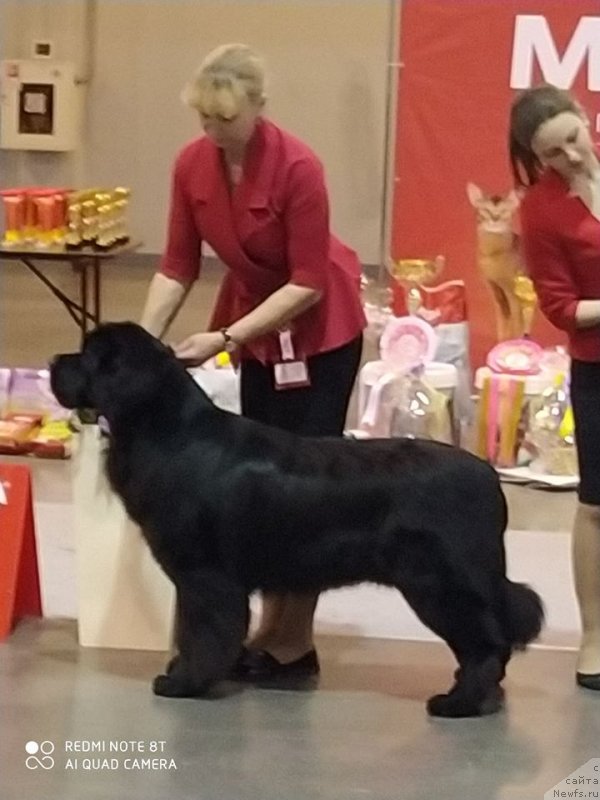 Фотография № 246375