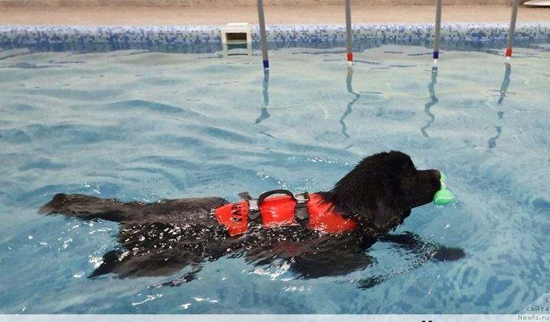 Фотография № 246376