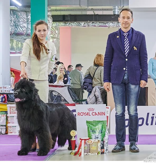 Фотография № 246377