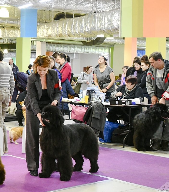 Фотография № 246380