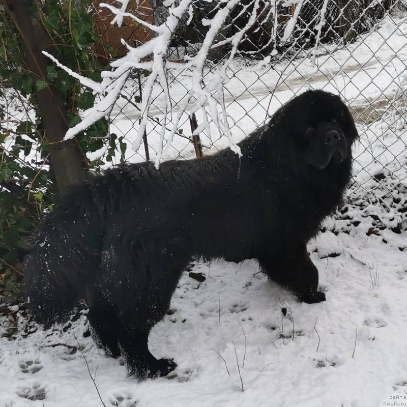 Фотография № 246382