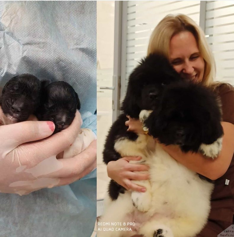 Фотография № 246391