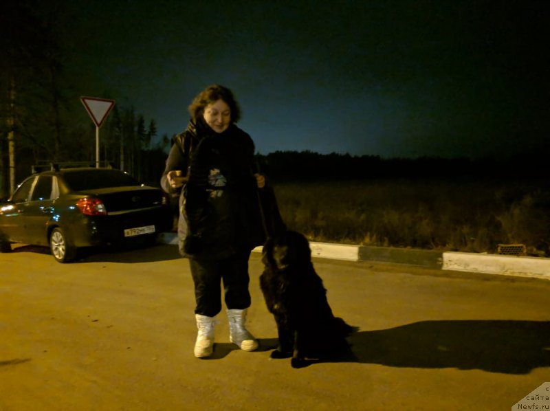 Фотография № 246394