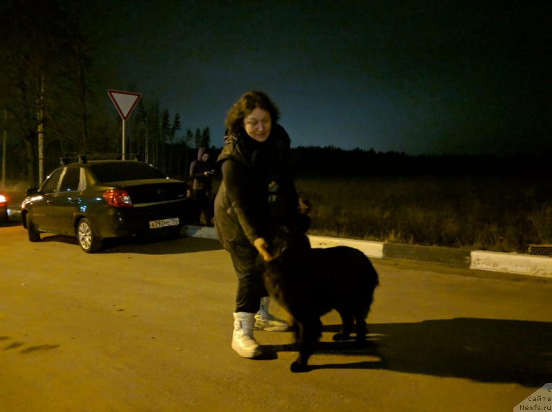 Фотография № 246396