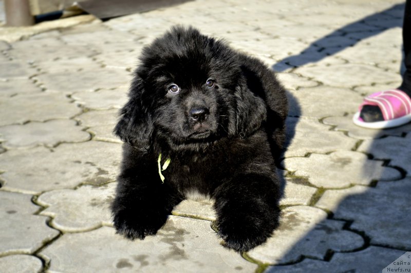 Фотография № 246419