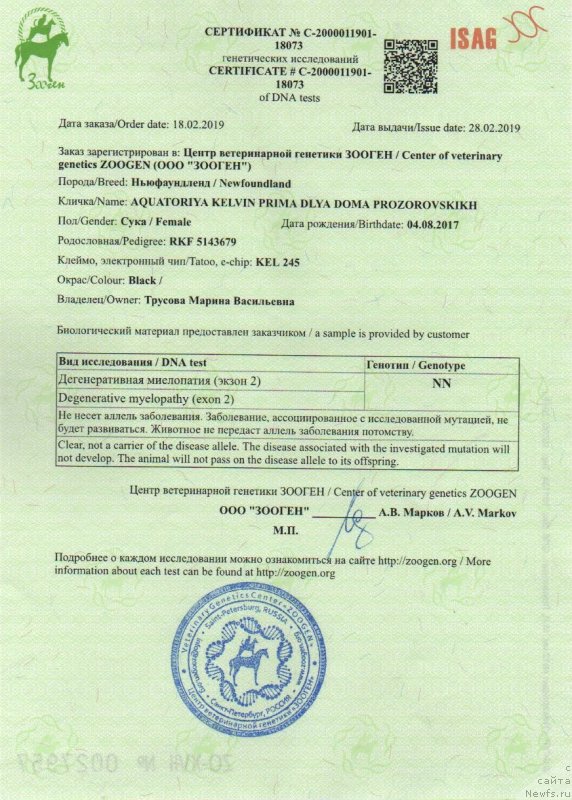 Фото: ньюфаундленд Акватория Келвин Прима для Дома Прозоровских (Aquatoriya Kelvin Prima dlya Doma Prozorovskikh)