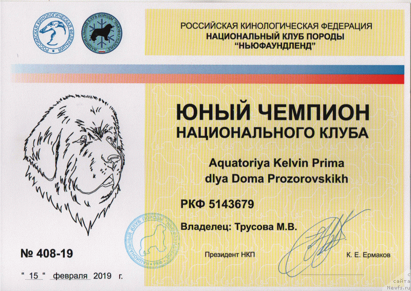 Фото: ньюфаундленд Акватория Келвин Прима для Дома Прозоровских (Aquatoriya Kelvin Prima dlya Doma Prozorovskikh)