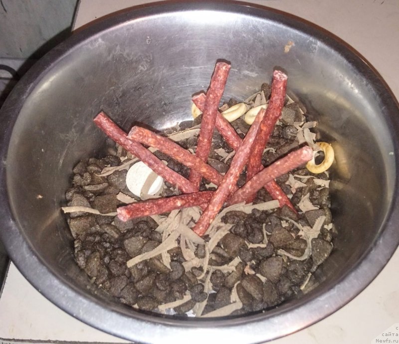 Фотография № 246559