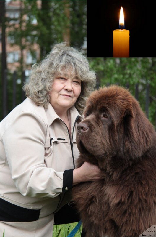 Фотография № 246565