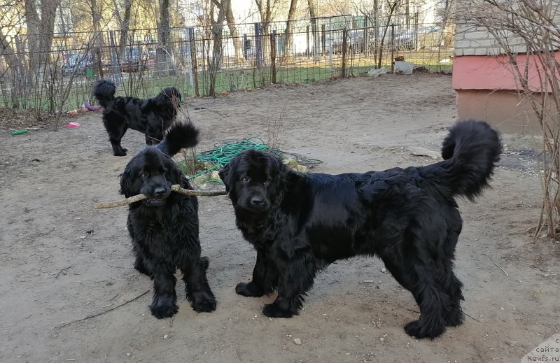 Фотография № 246567