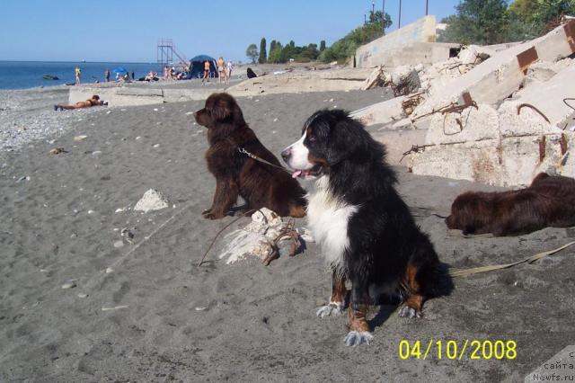 Фотография № 24658