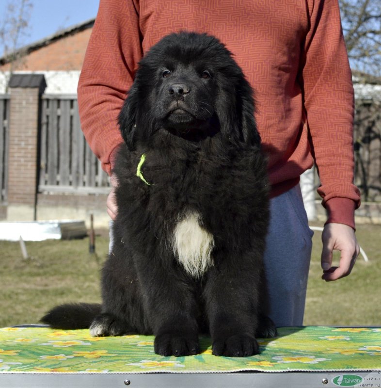 Фотография № 246580