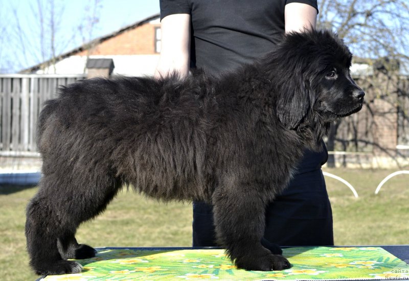 Фотография № 246581