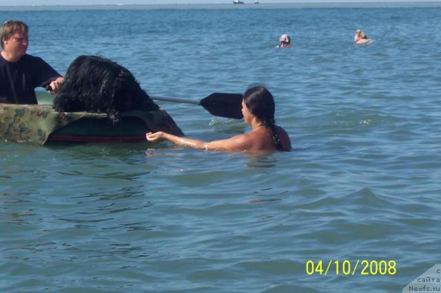 Фотография № 24660