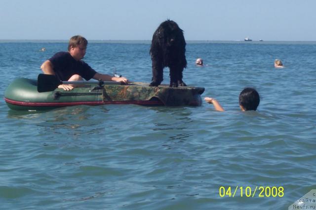 Фотография № 24661