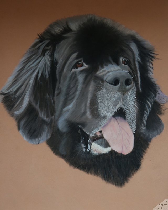 Фотография № 246611