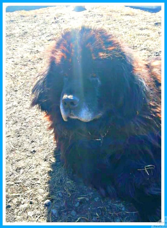 Фотография № 246616