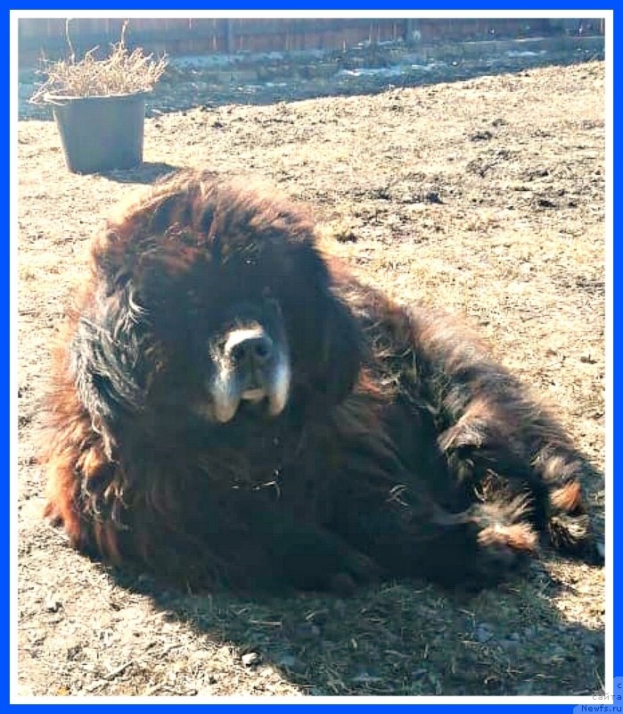 Фотография № 246617