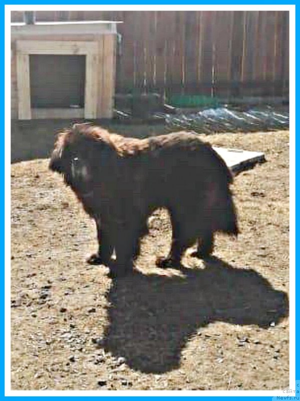 Фотография № 246618