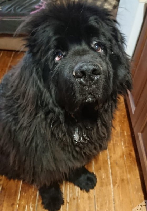 Фотография № 246628