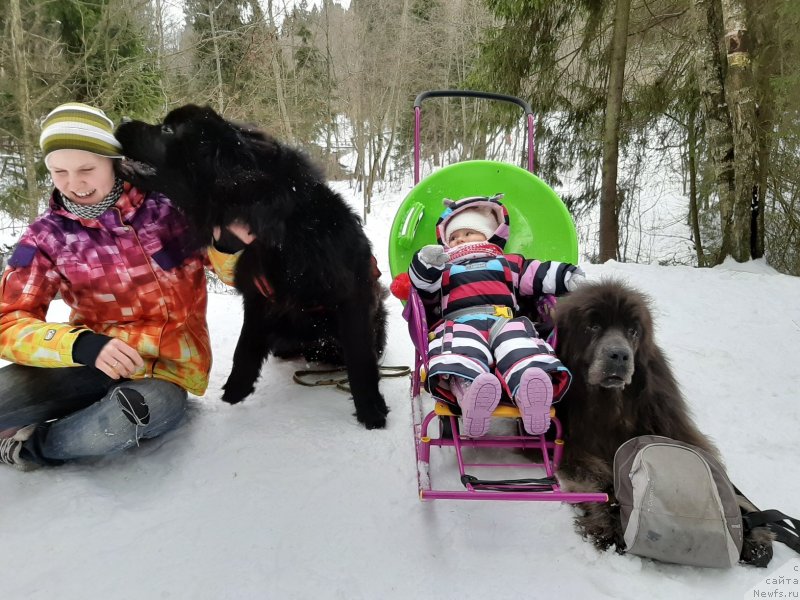 Фотография № 246647