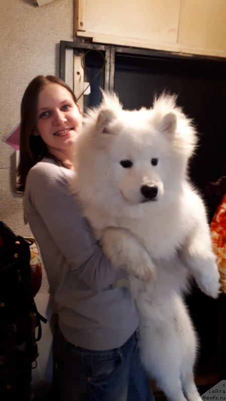 Фотография № 246650