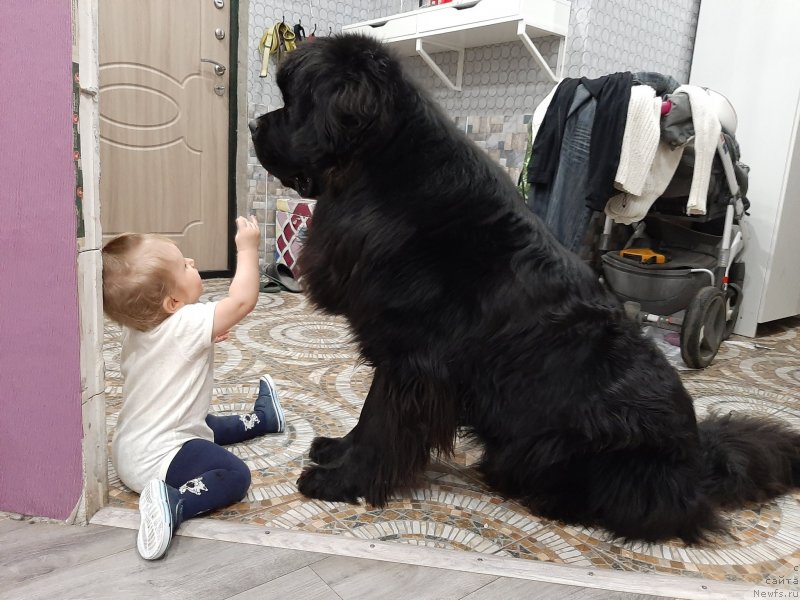 Фотография № 246654