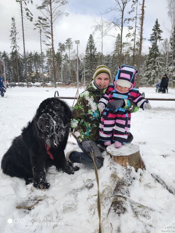 Фотография № 246658