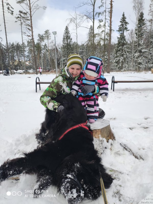 Фотография № 246659