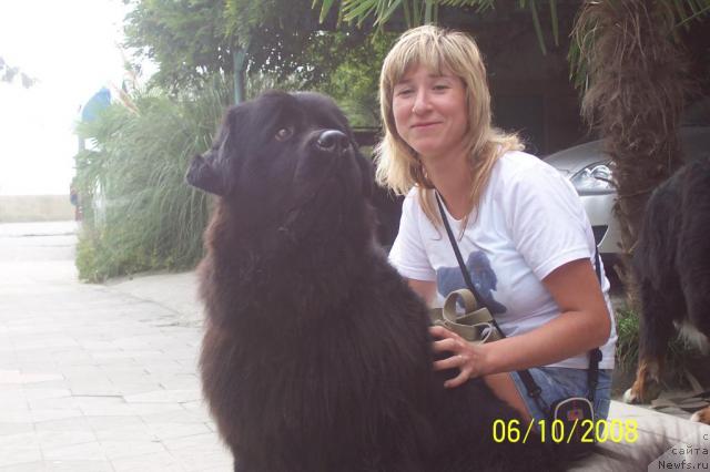 Фотография № 24666