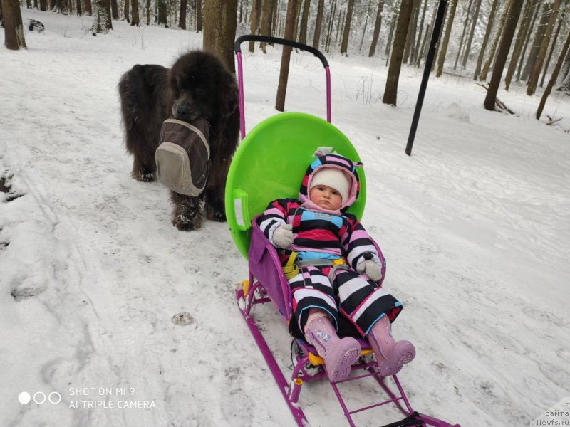 Фотография № 246661