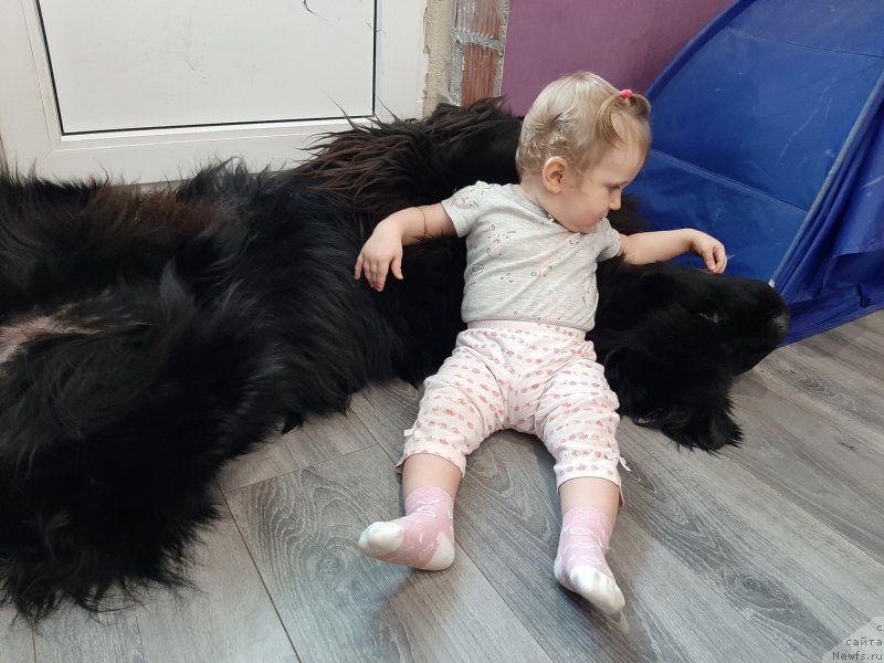 Фотография № 246663