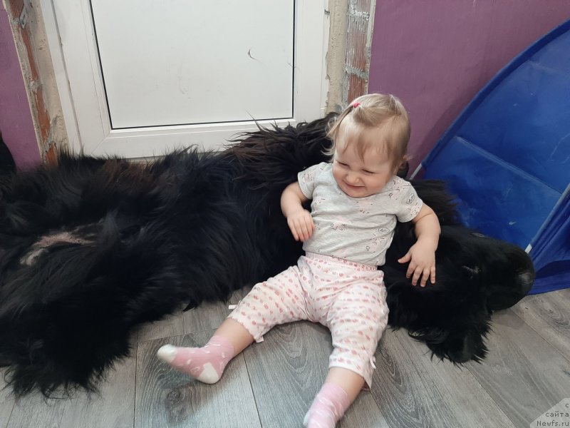 Фотография № 246664