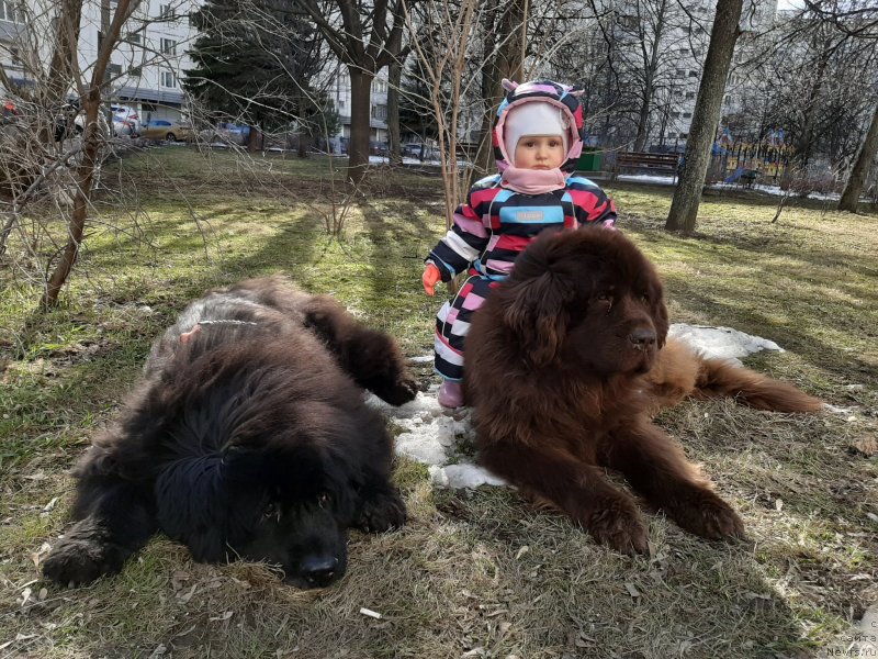 Фотография № 246674