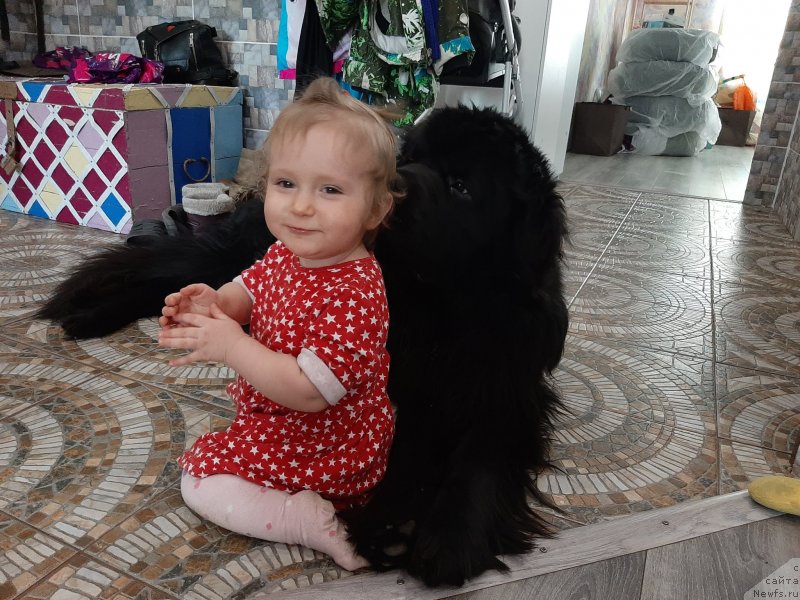 Фотография № 246678