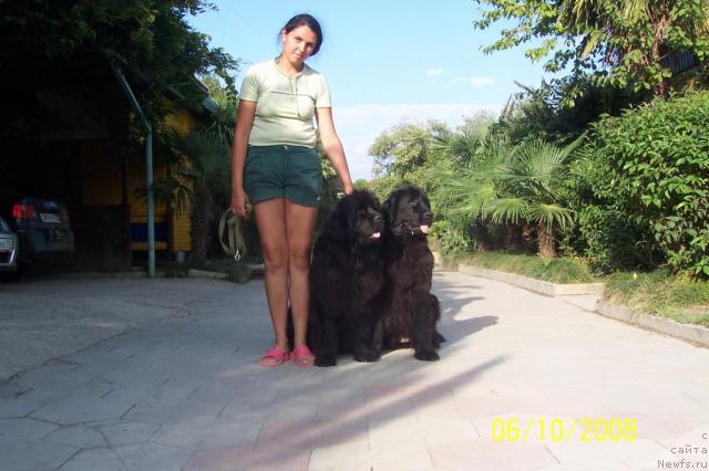 Фотография № 24668