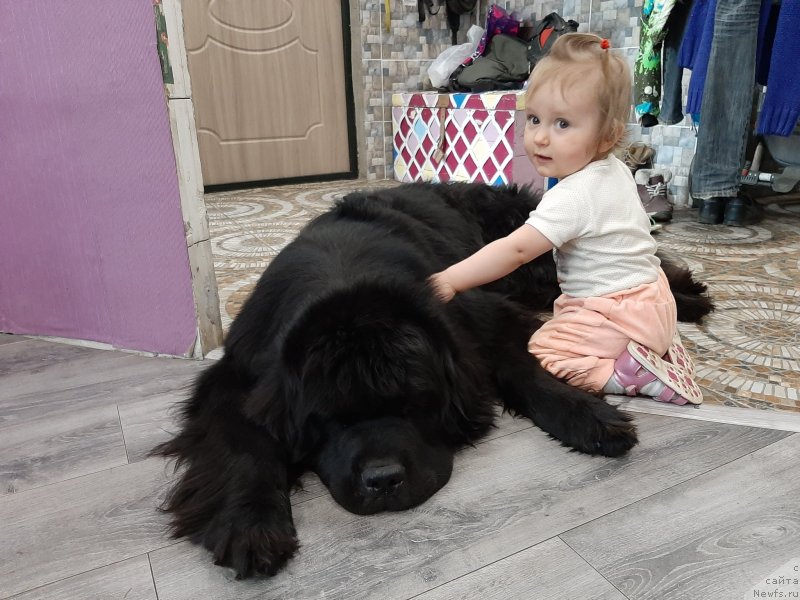 Фотография № 246680