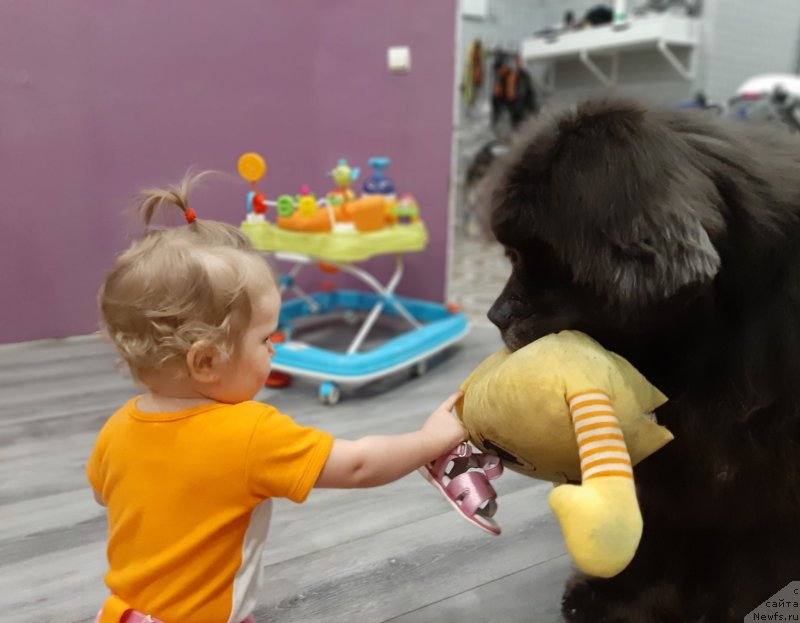 Фотография № 246685