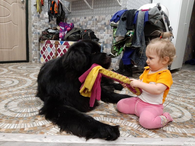 Фотография № 246686