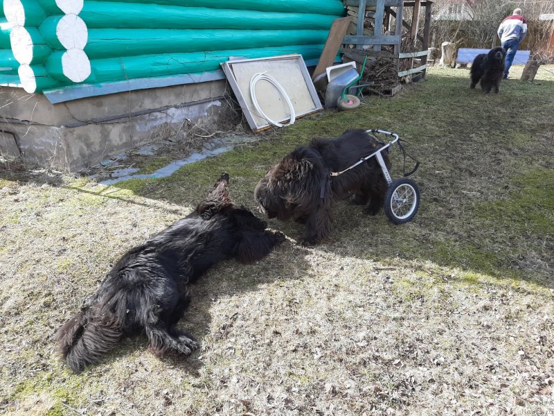 Фотография № 246696