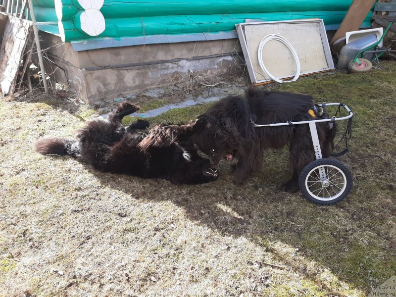 Фотография № 246698