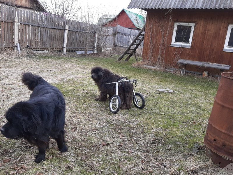 Фотография № 246701