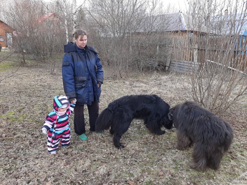 Фотография № 246702