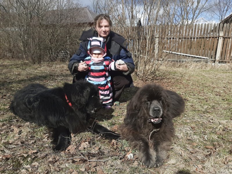 Фотография № 246703