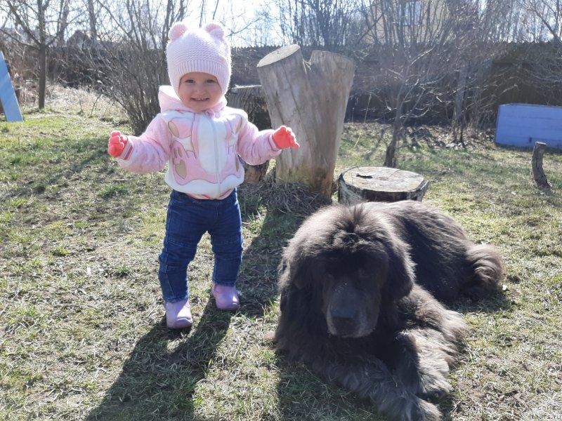 Фотография № 246708