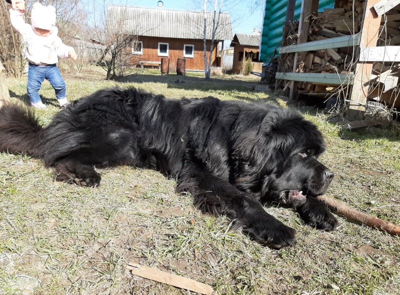 Фотография № 246710